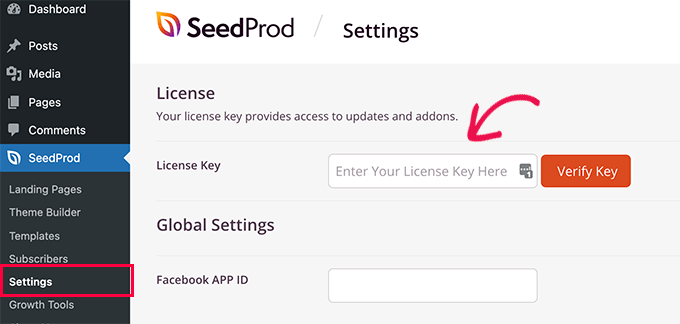 Введите ваш лицензионный ключ SeedProd