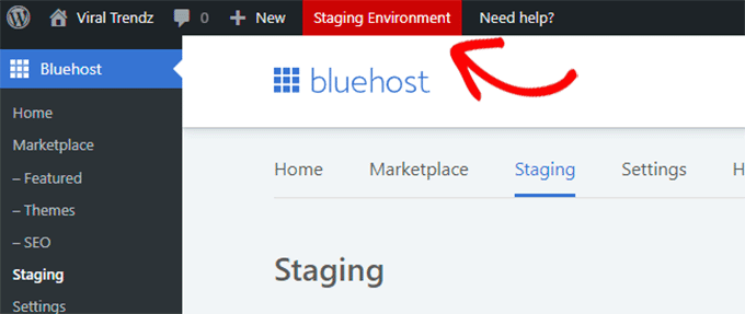 Staging envronment Bluehost
