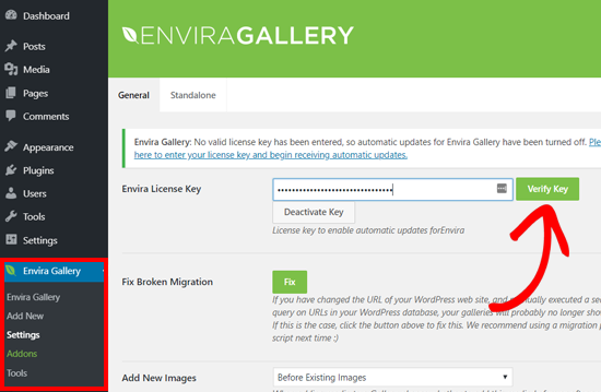 Enter Envira Gallery License Key