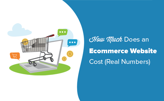 Cost of building an eCommerce website