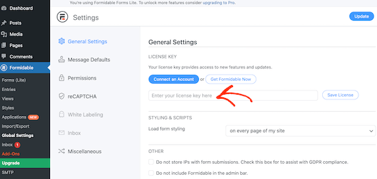 Adding a license key to the Formidable Forms plugin