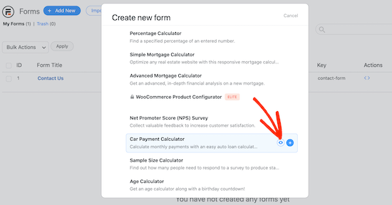 Previewing a Formidable Forms template