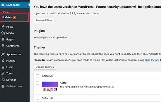 Is it safe to update WordPress theme?