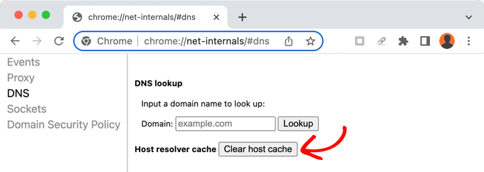 Очистка DNS-кэша в Chrome
