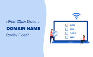 How Much Does A Domain Name Really Cost? (Expert Answer)