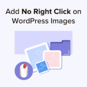 How to add no right click on WordPress images