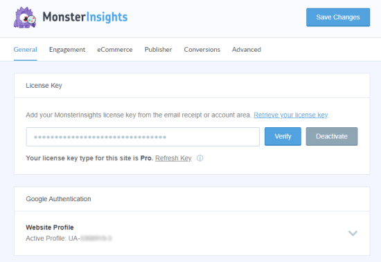 Inserisci il numero di licenza in MonsterInsights