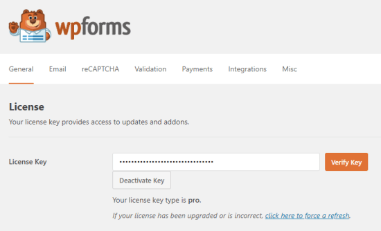 Ввод лицензионного ключа для WPForms