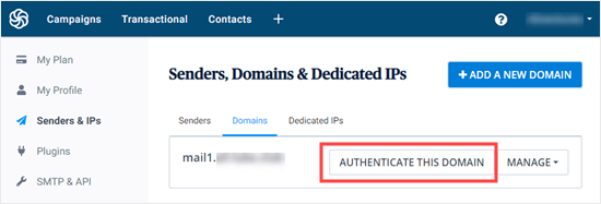 The Authenticate Domain button which lets you go back to the DNS settions