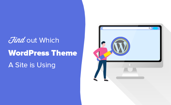 Finding out which WordPress theme a website is using