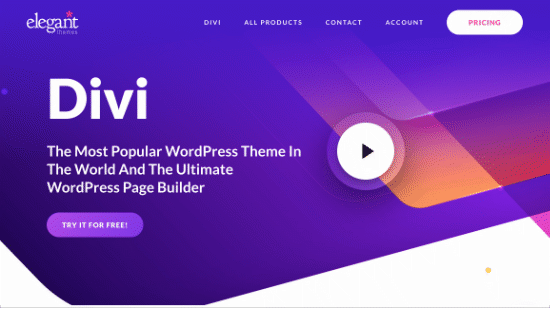 Divi Theme