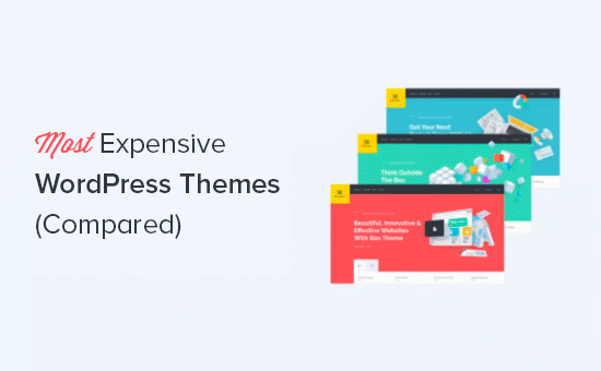 Most expensive WordPress themes compared