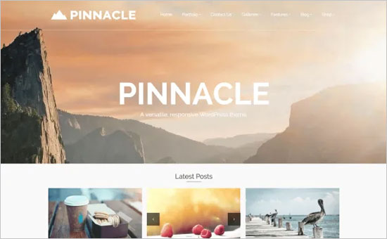 Pinnacle Pinnacle