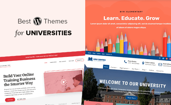 Best WordPress themes for universities