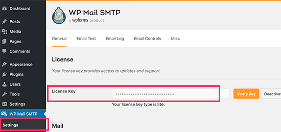 Лицензия WP Mail SMTP