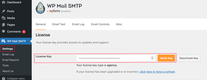 WP Mail SMTP лицензия