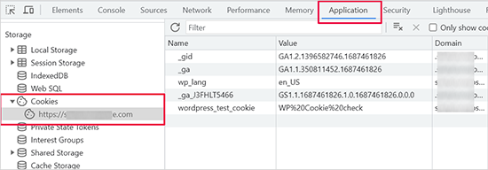 开发者工具中的 Cookie