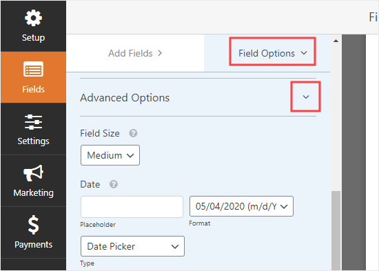 Viewing and changing the Advanced Options for the Date/Time field