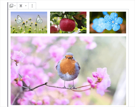 Четыре изображения в галерее (бабочки, яблоко, голубые цветы и малиновка)