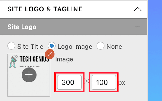 How To Change Your WordPress Logo Size Works With Any Theme 