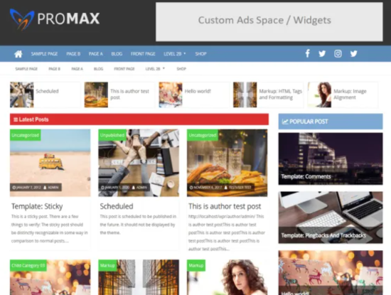 Promax theme