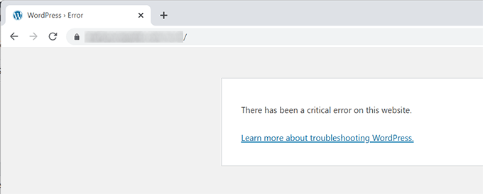 Critical error in WordPress without email instructions