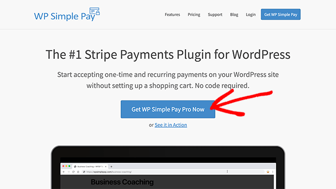 WP Simple Pay Website