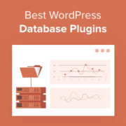 12 Best WordPress Database Plugins