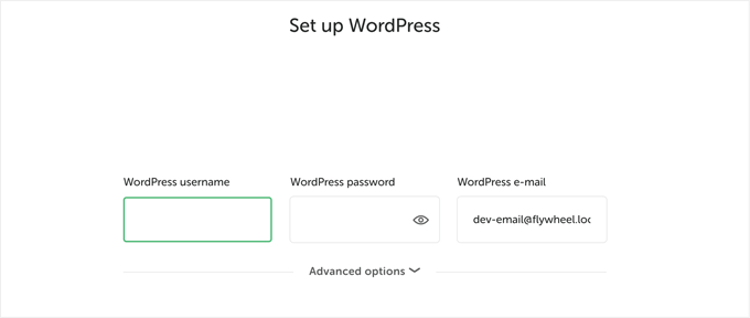 WordPress set up