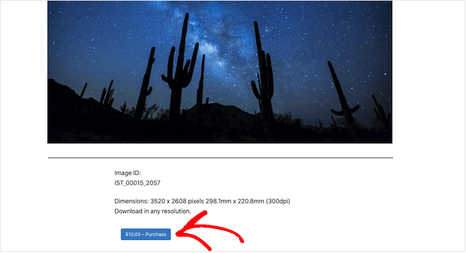 Selling digital art and graphics online with WordPress Selling digital art and graphics online with WordPress