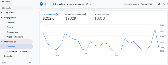 Monetization report