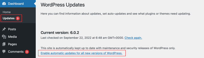 Activer les mises à jour automatiques de WordPress