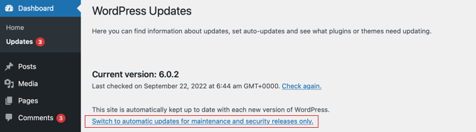 Disable Automatic WordPress Updates Except Security Updates