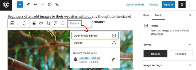WebHostingExhibit scaledreplacemedialibrary How to Easily Serve Scaled Images in WordPress (Step by Step)  