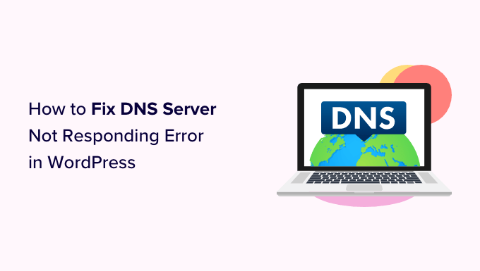 WordPress'te DNS sunucusu yanıt vermiyor hatası nasıl düzeltilir