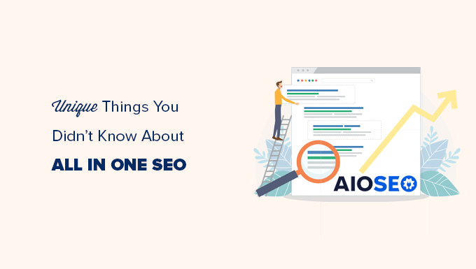 Things you didn't know about All in One SEO for WordPress
