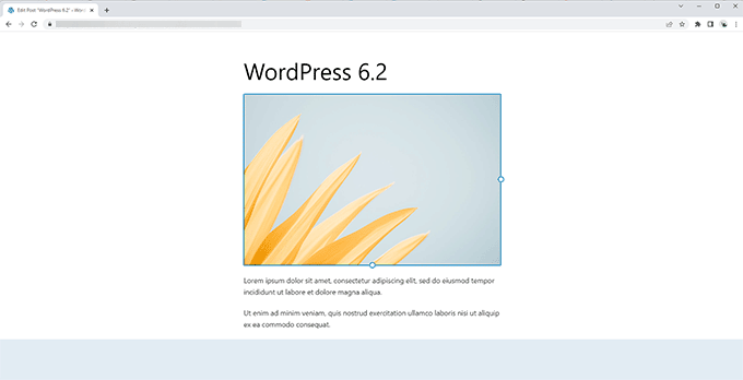 WordPress 6.2'de dikkat dağıtmayan düzenleyici