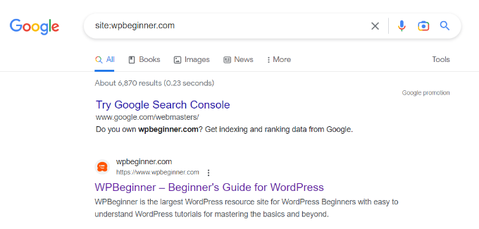 Website search operator on Google