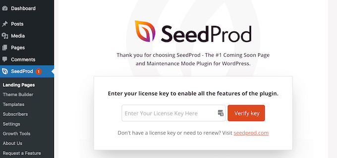 Adding a license key to SeedProd